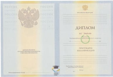 Диплом ДЮИ 2010-2011 годов