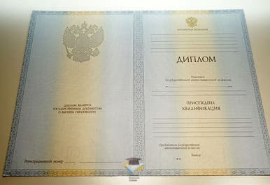 Диплом СПбИГО 2012-2013 годов